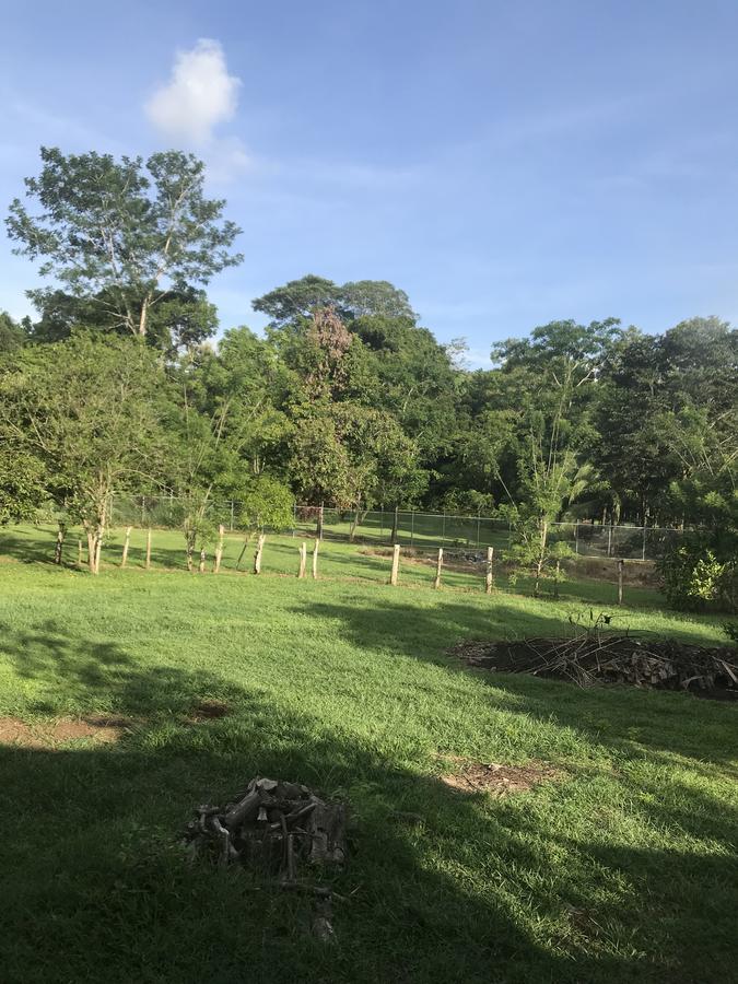 Villa Segura Manuel Antonio, Quepos Exteriér fotografie